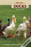 Ducks