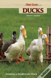 Ducks