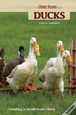Capa do artigo Ducks