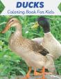 Ducks Coloring Book For Kids - Preview