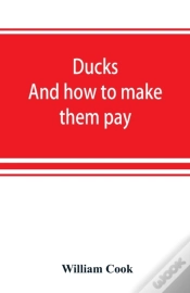 Capa do artigo Ducks