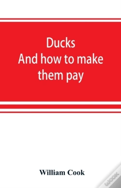 Capa do artigo Ducks