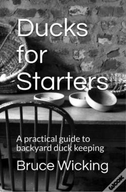 Capa do artigo Ducks For Starters: A Practical Guide To
