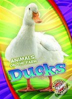 Ducks