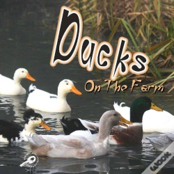Capa do artigo Ducks On The Farm