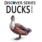 Ducks - Preview