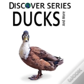 Capa do artigo Ducks