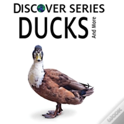 Capa do artigo Ducks