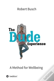 Capa do artigo Dude Experience