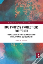 Capa do artigo Due Process Protections For Youth