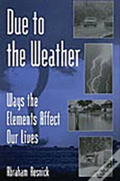 Capa do artigo Due To The Weather