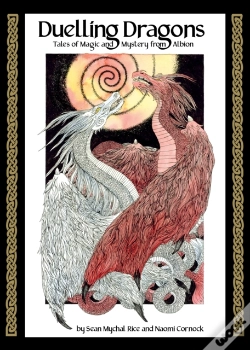 Capa do artigo Duelling Dragons