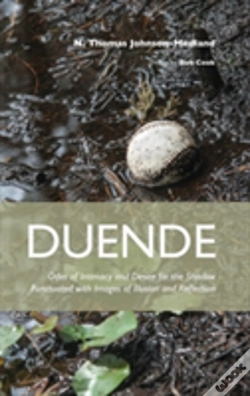 Capa do artigo Duende