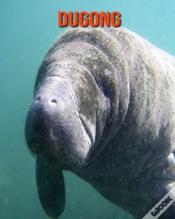 Capa do artigo Dugong