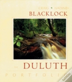 Capa do artigo Duluth Portfolio