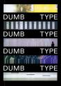 Dumb Type - Preview