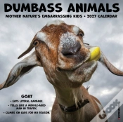 Capa do artigo Dumbass Animals 2027 Wall