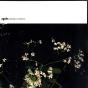 Dumbles Debuts - CD - Preview