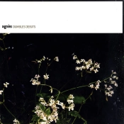 Capa do artigo Dumbles Debuts - CD
