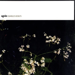 Capa do artigo Dumbles Debuts - CD