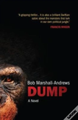 Capa do artigo Dump