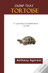 Dump That Tortoise: 12 Great Ways To Acc