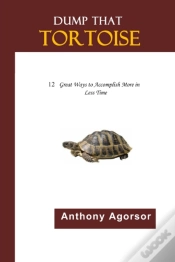 Capa do artigo Dump That Tortoise: 12 Great Ways To Acc