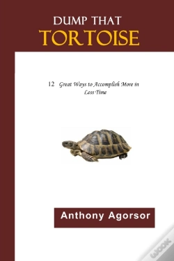 Capa do artigo Dump That Tortoise: 12 Great Ways To Acc