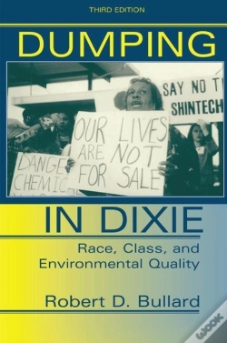Capa do artigo Dumping In Dixie