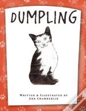 Capa do artigo Dumpling