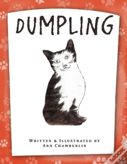 Capa do artigo Dumpling