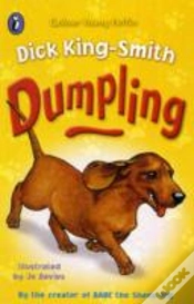 Capa do artigo Dumpling