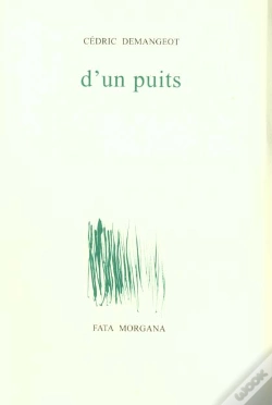 Capa do artigo D'Un Puits