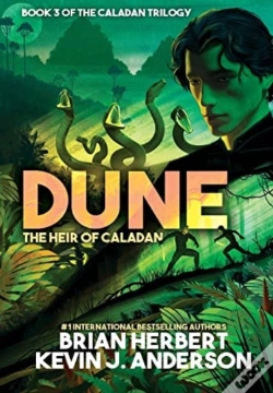 Capa do artigo Dune