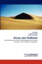 Dunes And Wetlands - Preview