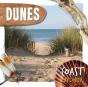 Dunes - Preview