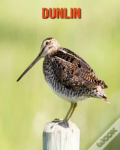 Capa do artigo Dunlin