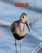 Capa do artigo Dunlin
