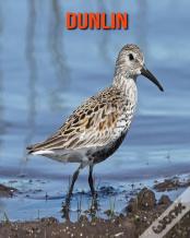 Dunlin