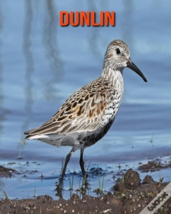 Capa do artigo Dunlin