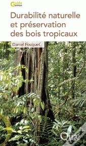 Durabilité Naturelle Et Préservation Des Bois Tropicaux