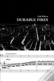 Capa do artigo Durable Fires