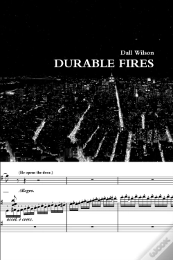 Capa do artigo Durable Fires