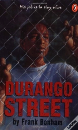Capa do artigo Durango Street