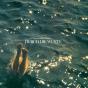 Durch Die Wuste - CD - Preview