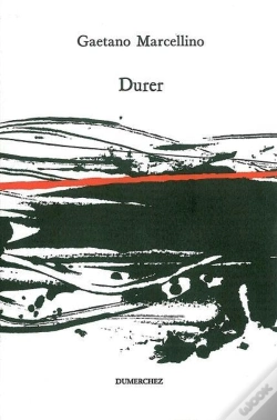 Capa do artigo Durer