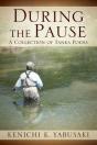 During The Pause - Preview