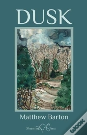Capa do artigo Dusk