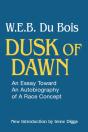 Dusk Of Dawn! - Preview
