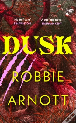 Capa do artigo Dusk